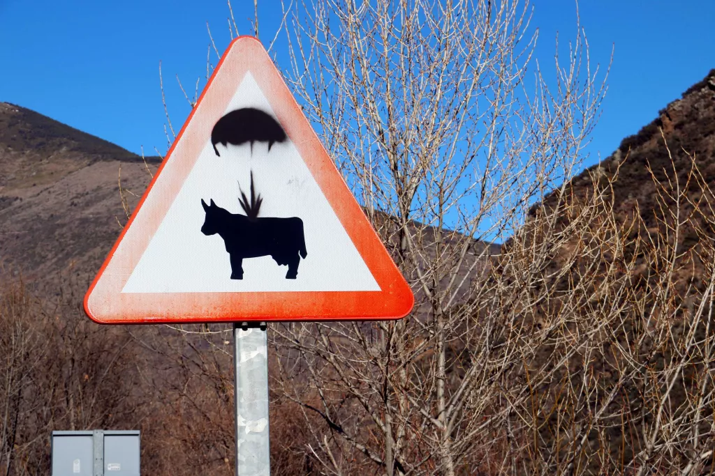 ⏯️ Cérvols voladors o vaques amb paracaigudes com a mostra d'art a les carreteres del Pirineu