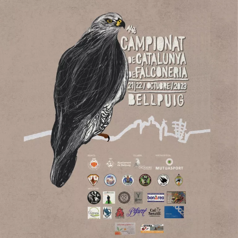 Bellpuig acull el Campionat de Catalunya de Falconeria