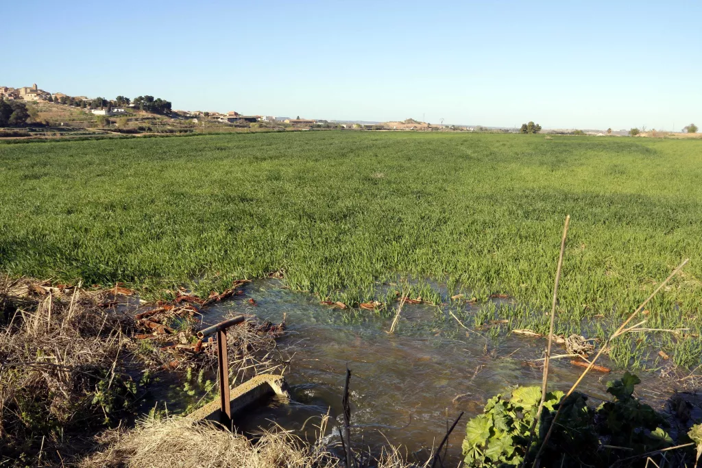 ⏯️ Els regants del Canal d'Urgell inicien una de les campanyes més complicades de la història