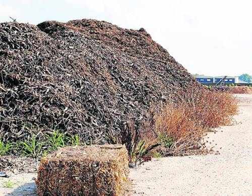 Urbanisme aparca per segona vegada la planta de biomassa del Palau