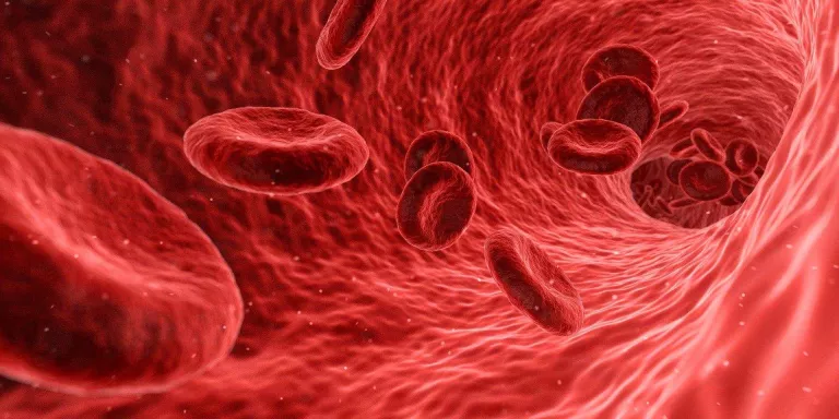 Trombosi, una conseqüència greu del coronavirus