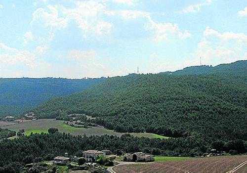 Mor un caçador d'Olius per un tret accidental d'un company