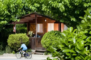 El Càmping El Solsonès convida a viure la tardor amb natura, gastronomia i escapades en família