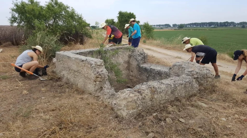Quinze joves d'un camp de treball realitzen tasques per tota Linyola