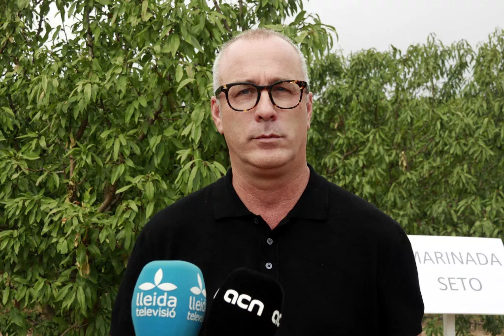 ⏯️ Presenten un nou portaempelt d'ametller que aconsegueix una alta eficiència productiva