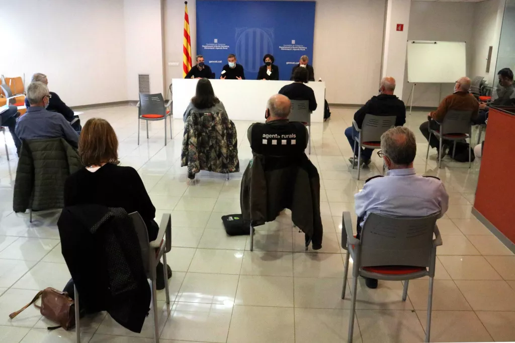 La sequera augmenta els danys provocats pels conills a l'agricultura de Lleida
