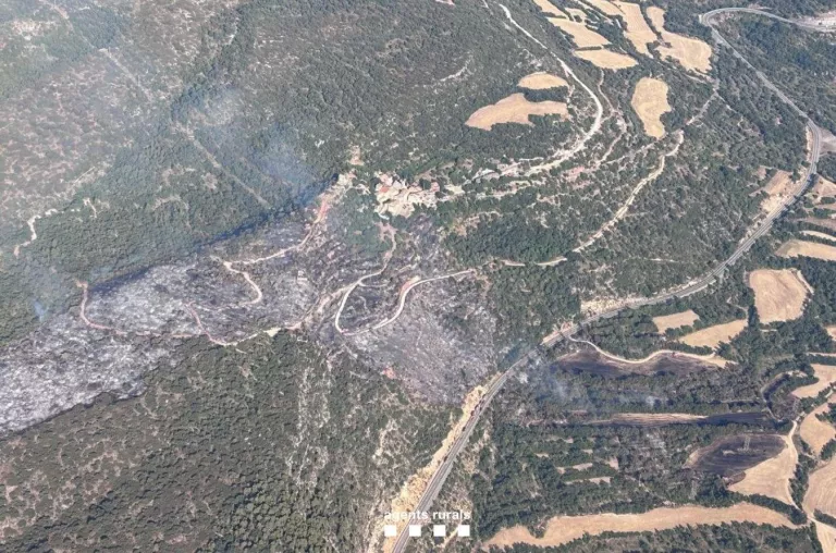 Els Bombers donen per controlat l'incendi de Camarasa, que ha afectat unes 22 hectàrees
