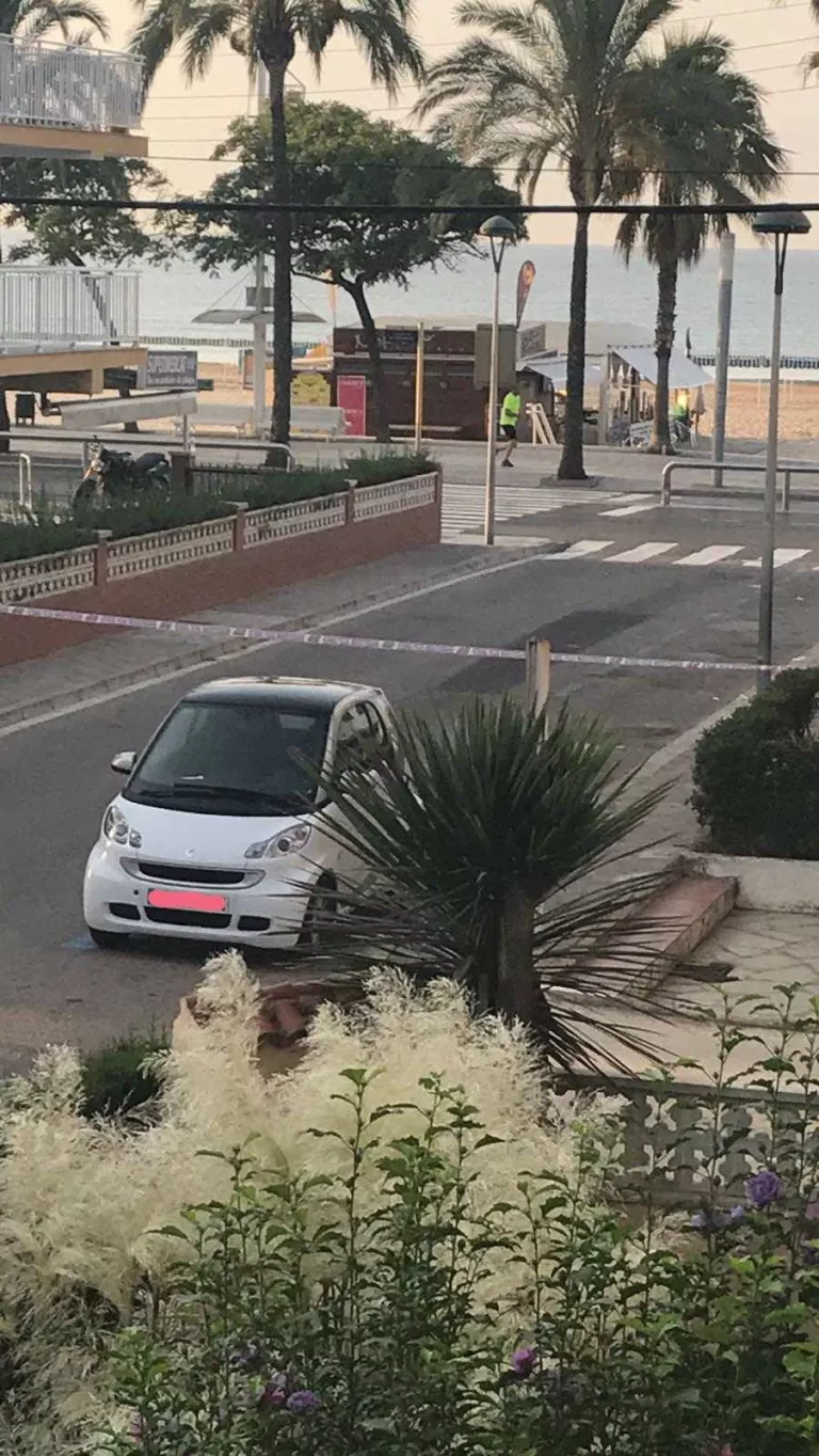 Els explosius dels 5 homes abatuts a Cambrils eren simulats