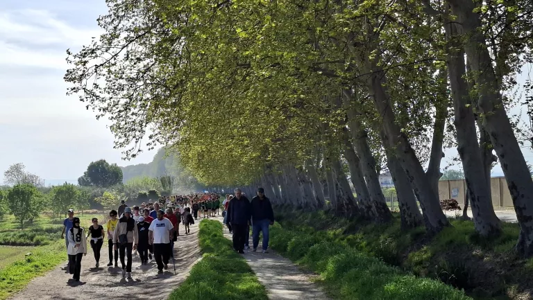 El Dia Mundial de l’Activitat Física aplega 400 participants en una caminada saludable a Mollerussa