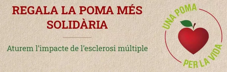 Pomes virtuals per aturar l’impacte de l’esclerosi múltiple