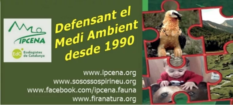 Ipcena denuncia davant de Territori les obres de l'ACA al riu Farfanya per reparar els danys del temporal Gloria
