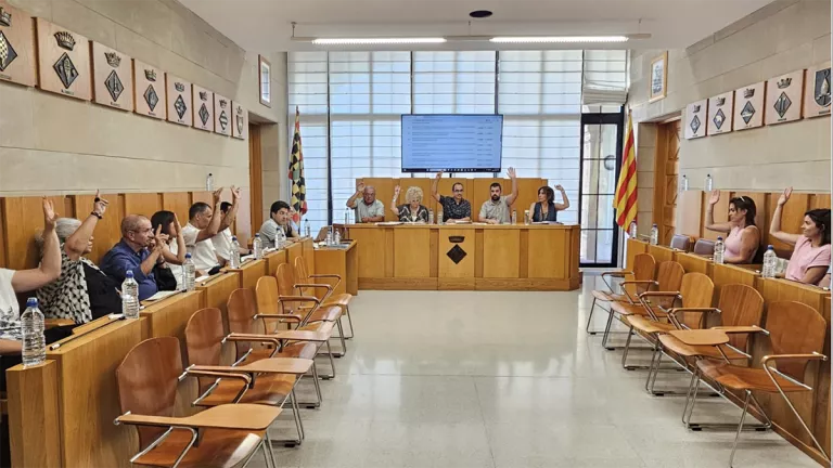 El Consell de l'Urgell s'oposa a les plantes de biogàs d'Anglesola i Vilagrassa