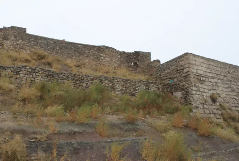 Tàrrega aprova un conjunt d’accions urgents per restaurar i preservar el mur sud del castell