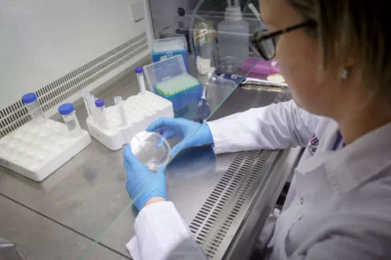 L’Institut de Salut Carlos III finança 9 projectes nous de recerca de l’IRBLleida