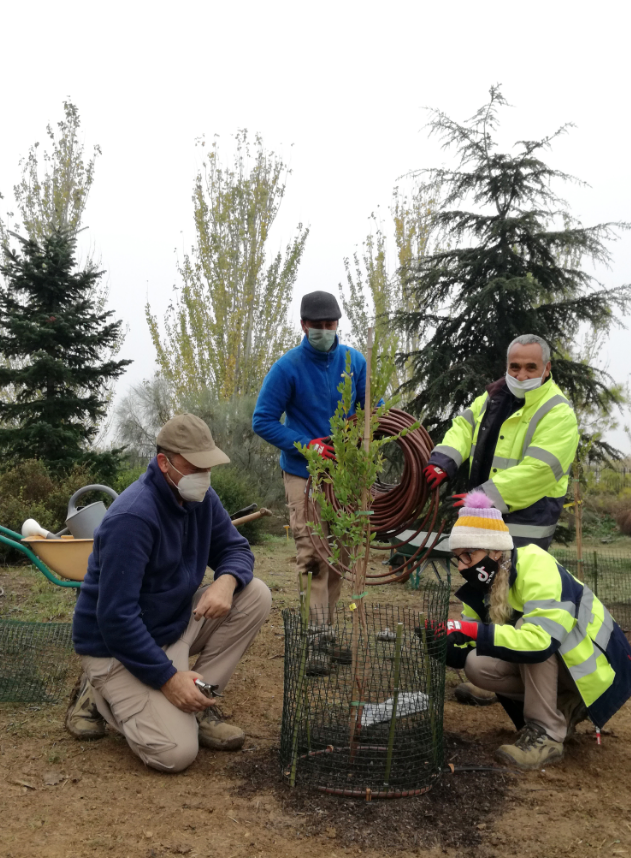 L’Arborètum incorpora 37 noves espècies d’arbres, arbustos i plantes durant el 2020