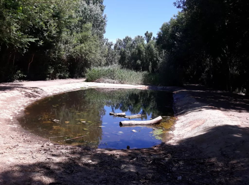 El Cogul inicia les obres d’adequació i millora d’espais del projecte Ponent Actiu