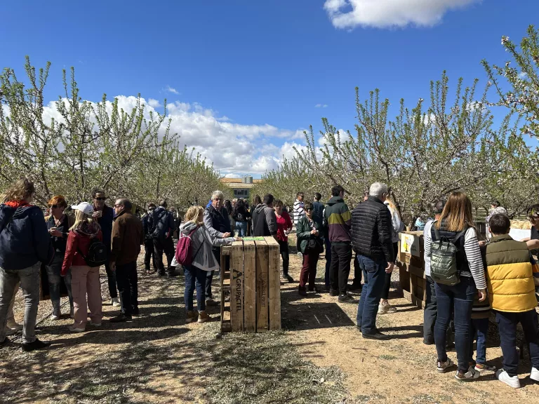Castelldans allarga la iniciativa "Ametllers florits" i inaugura la nova àrea d'autocaravanes