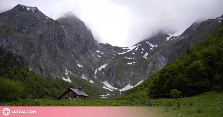 Tavascan viurà la jornada "La Neu i el Bosc"