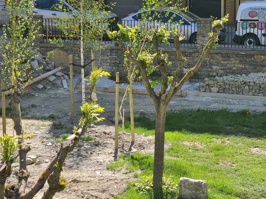 Una vintena d'arbres malmesos arran d'un acte vandàlic a Sort
