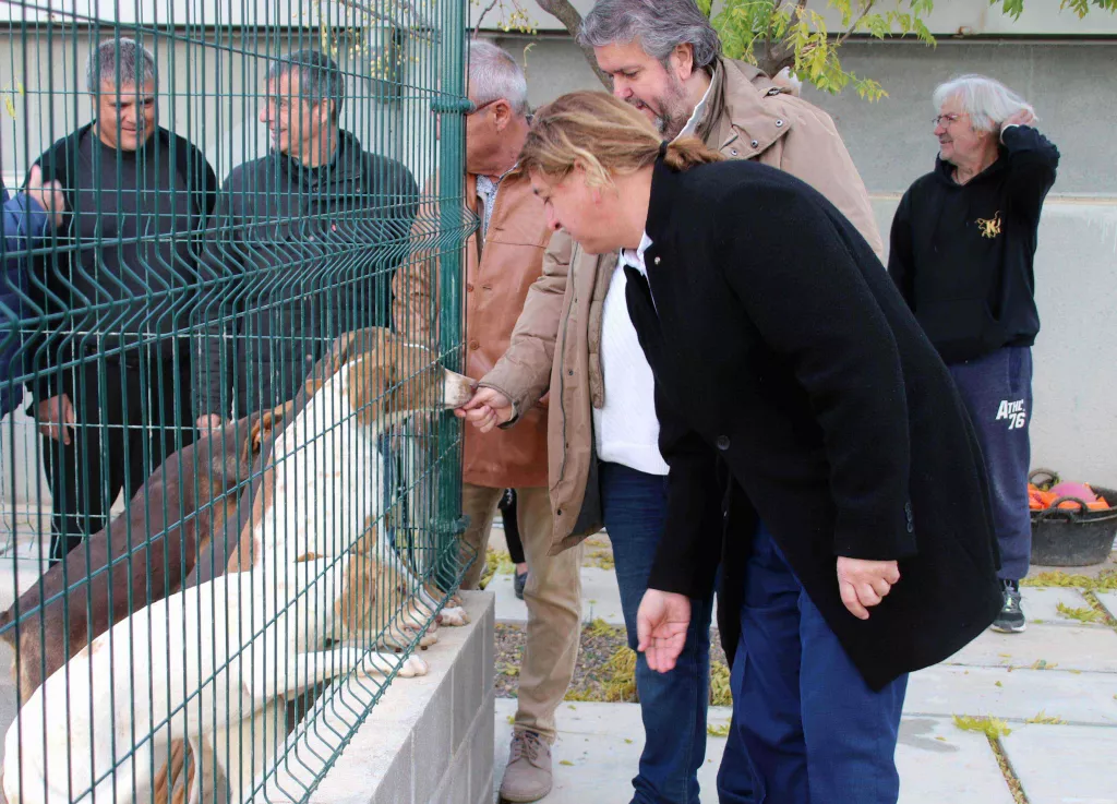 Rehabilitat el centre d'animals de companyia del Segrià amb una inversió de 157.183€