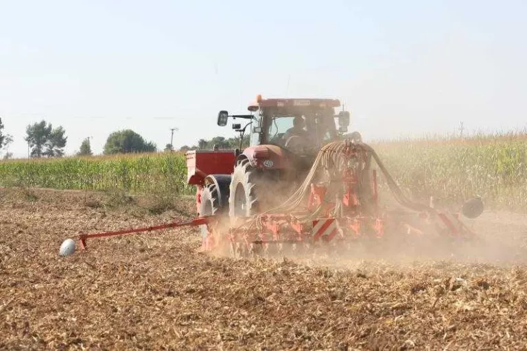 Arranca la collita de cereals amb menys quilos