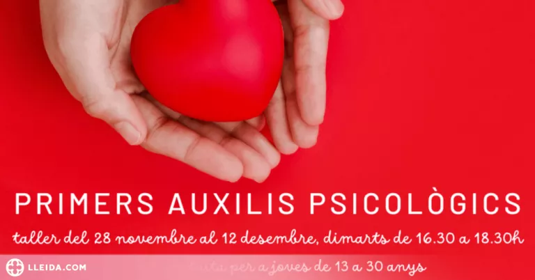 S'organitza a Lleida un taller de primers auxilis psicològics