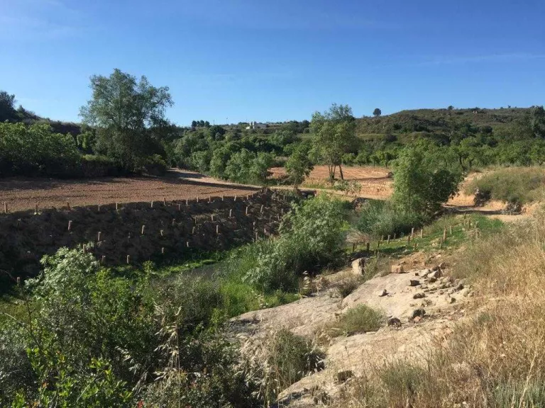 El Cogul inicia les obres d’adequació i millora d’espais del projecte Ponent Actiu