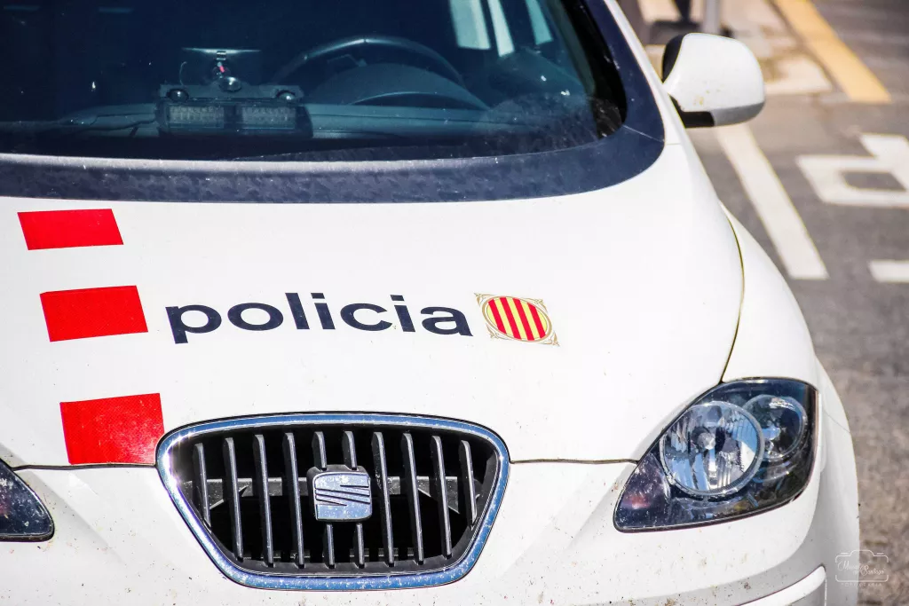 Detinguda una veïna de la Seu d'Urgell per un robatori amb força a un domicili