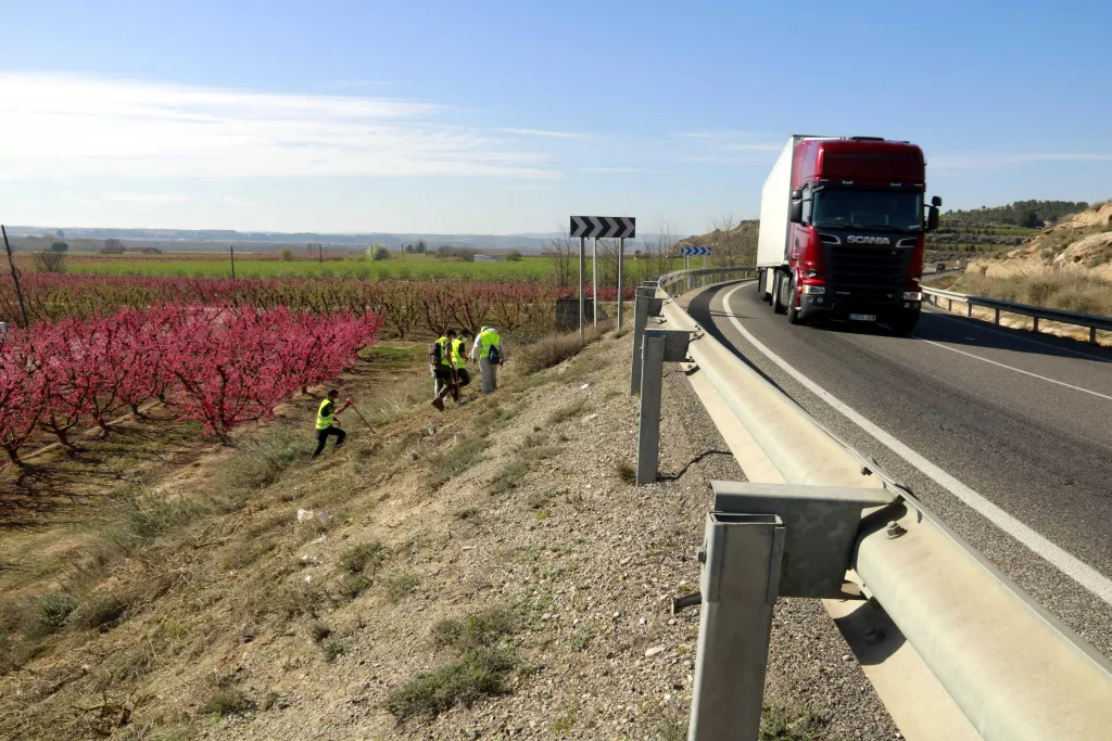 ⏯️ Inicien l'aplicació del fosfur d'alumini en carreteres per fer front a la plaga de conills