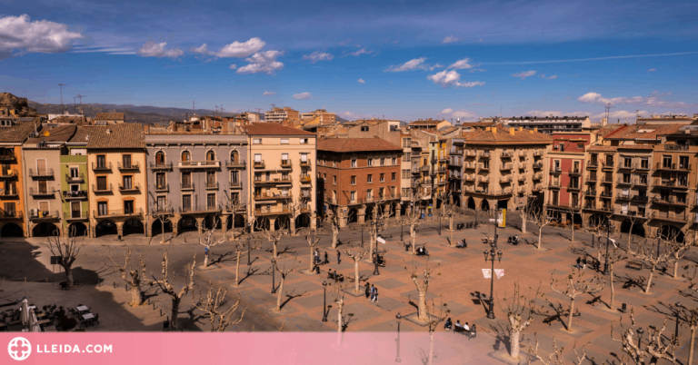 Balaguer treballa per iniciar el programa de gestió i control de les colònies felines