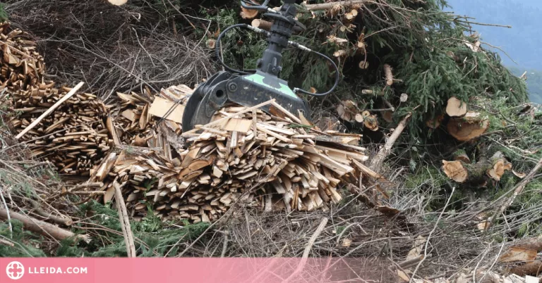 Knauf instal·larà una planta de biomassa a la fàbrica de Guixers i crearà uns 200 llocs de treball