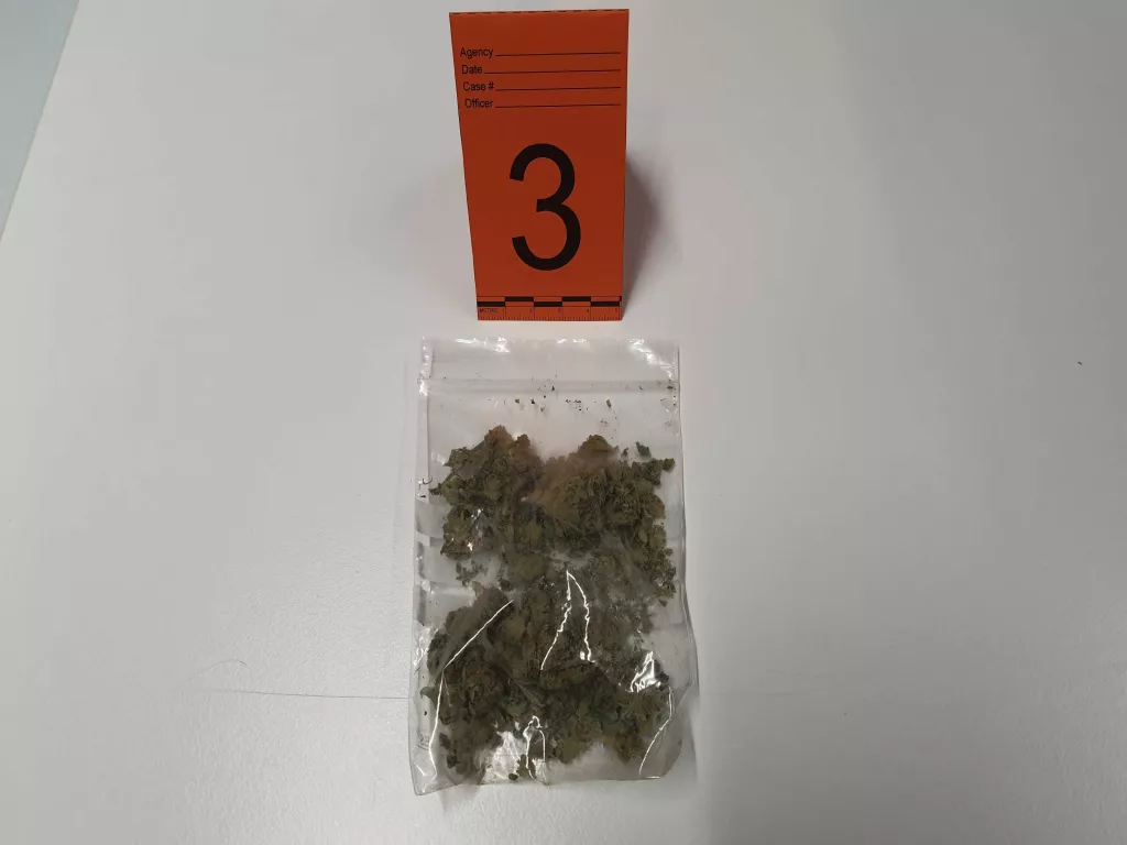 Condueix sense carnet, de manera temerària i intenta agredir un agent de la Urbana a Lleida