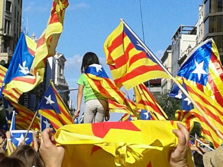 La Diada amb més participació lleidatana