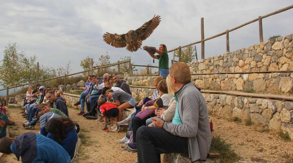 El Zoo del Pirineu torna 228 animals a la natura aquest 2023