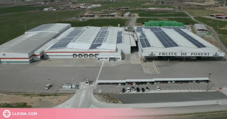 Actel i Fruits de Ponent aposten per unir esforços i crear una societat compartida