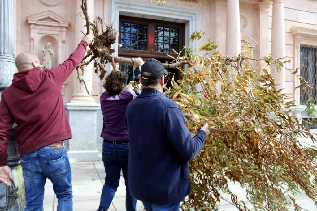 ⏯️ Bloquegen l'entrada de la subdelegació del govern espanyol a Lleida amb arbres fruiters