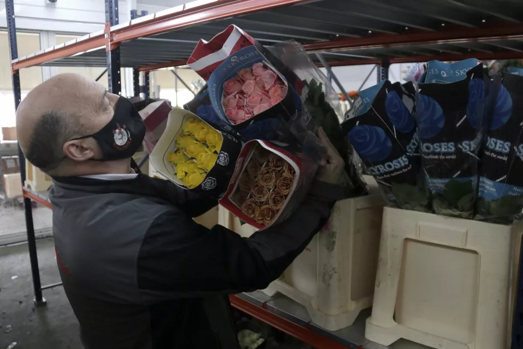⏯️ El preu de la rosa es dispara per als majoristes aquest Sant Jordi