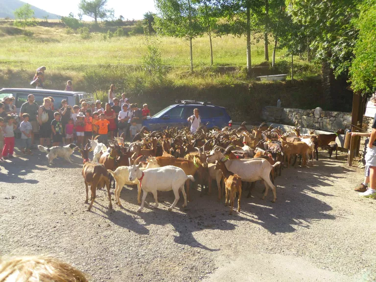 L'Ecomuseu de les valls d'Àneu proposa visites guiades i nous tallers durant l'estiu