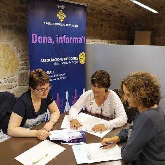 Augmenten fins a 17 les dones ateses per violència de gènere a l'Urgell el 2019