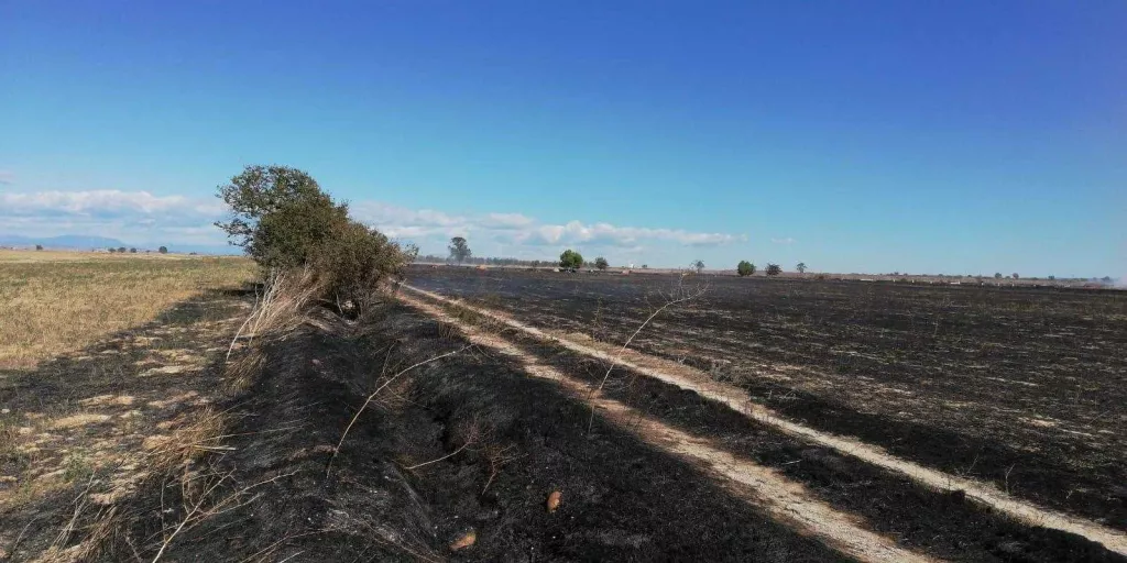 Cremen unes 13 hectàrees entre Belianes i Vilanova de Bellpuig