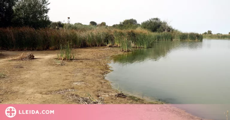 ⏯️ El nivell de l'estany d'Ivars i Vila-sana baixa mig metre a causa de la calor i el tancament del Canal d'Urgell