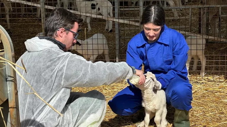 Les Escoles Agràries obren preinscripcions per al curs vinent amb 23 cicles formatius arreu del territori