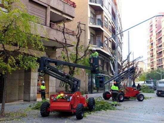 Esporga selectiva d'arbres a Lleida per aconseguir optimitzar la il·luminació dels carrers i places