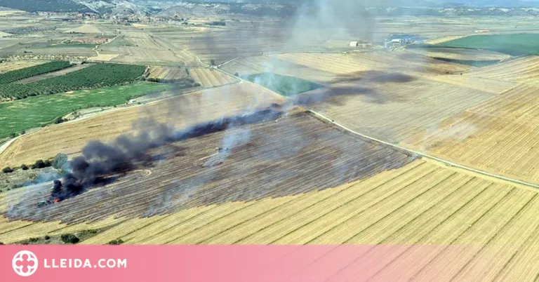 Extingit l'incendi agrícola d'Algerri, que ha afectat 8,9 hectàrees