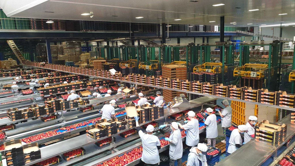 ⏯️ El Govern destaca l'esforç del sector agrari per l'excel·lència