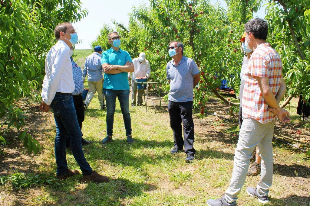 ⏯️ El Govern destaca l'esforç del sector agrari per l'excel·lència
