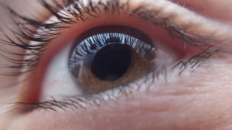 Com podem preveure el despreniment de retina?