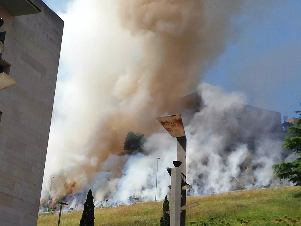 ⏯️ Crema controlada de vegetació al Turó de la Seu Vella