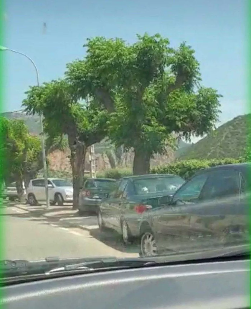 Un municipi de Lleida alerta d'un allau visitants i vehicles el cap de setmana