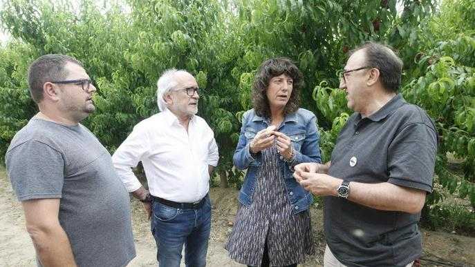 Aproven la llei per evitar que hi hagi finques en desús